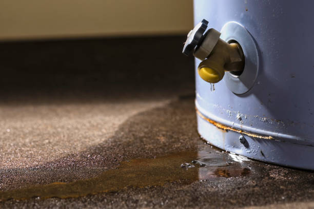 Best Flood restoration services  in Lakes Of The Four Seasons, IN
