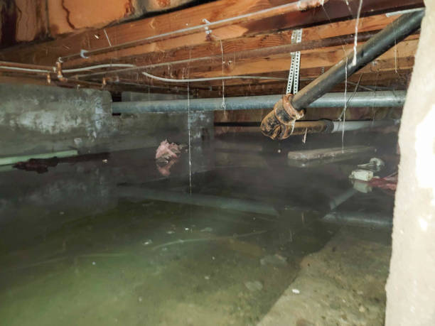 Best Fire Damage Restoration  in Lakes Of The Four Seasons, IN