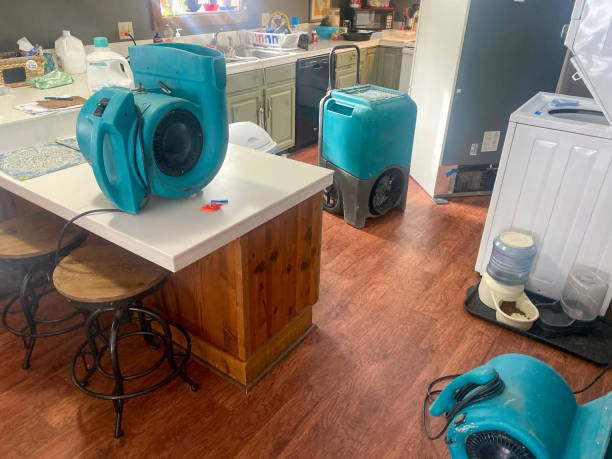 Best Water damage restoration near me  in Lakes Of The Four Seasons, IN