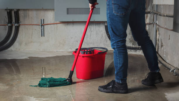 Best Flood damage cleanup  in Lakes Of The Four Seasons, IN