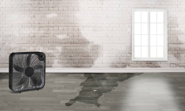 Best Water damage restoration insurance claims  in Lakes Of The Four Seasons, IN