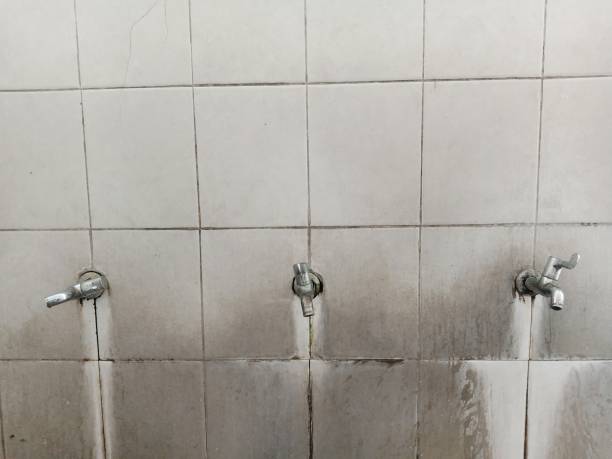  Lakes Of The Four Seasons, IN Water damage restoration Pros