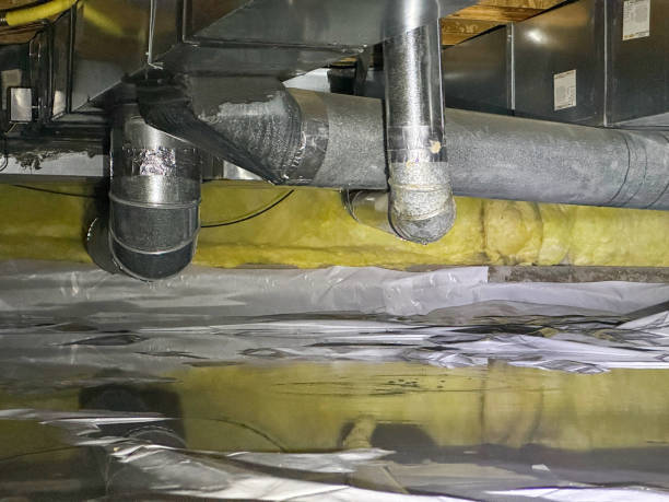 Best Carpet water damage restoration  in Lakes Of The Four Seasons, IN