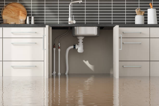 Best Ceiling water damage repair  in Lakes Of The Four Seasons, IN